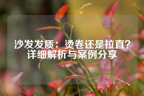 沙发发质：烫卷还是拉直？详细解析与案例分享