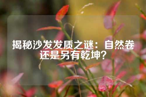 揭秘沙发发质之谜：自然卷还是另有乾坤？
