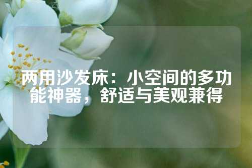 两用沙发床：小空间的多功能神器，舒适与美观兼得