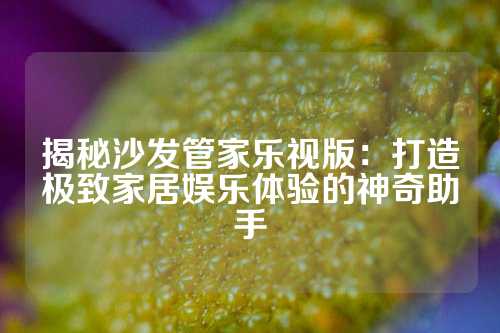 揭秘沙发管家乐视版：打造极致家居娱乐体验的神奇助手