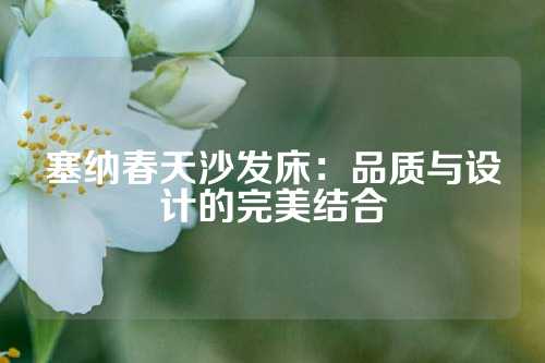 塞纳春天沙发床：品质与设计的完美结合