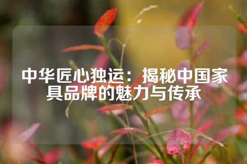 中华匠心独运：揭秘中国家具品牌的魅力与传承