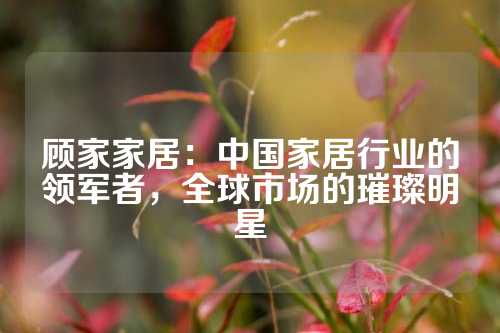 顾家家居：中国家居行业的领军者，全球市场的璀璨明星