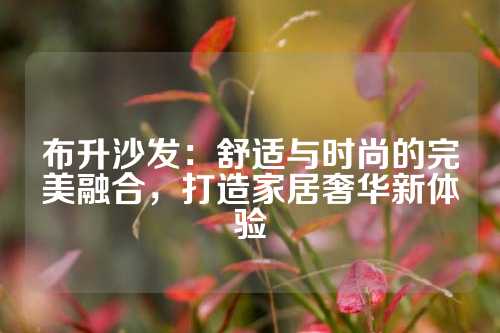 布升沙发：舒适与时尚的完美融合，打造家居奢华新体验