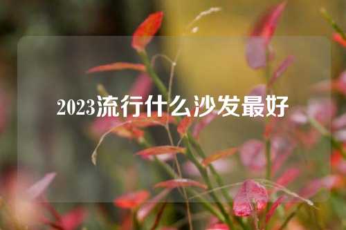 2023流行什么沙发最好