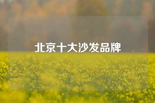 北京十大沙发品牌