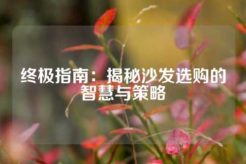 终极指南：揭秘沙发选购的智慧与策略