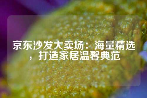 京东沙发大卖场：海量精选，打造家居温馨典范