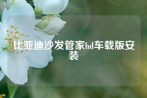 比亚迪沙发管家hd车载版安装
