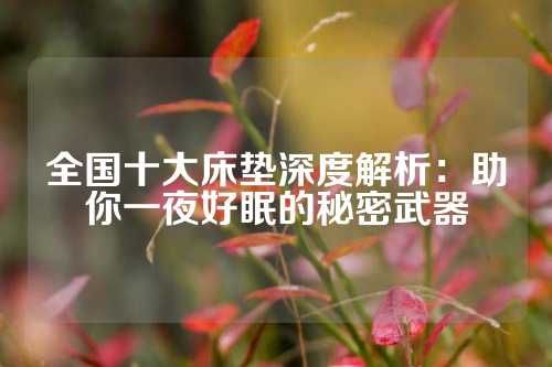 全国十大床垫深度解析：助你一夜好眠的秘密武器