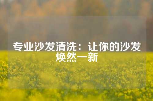 专业沙发清洗：让你的沙发焕然一新