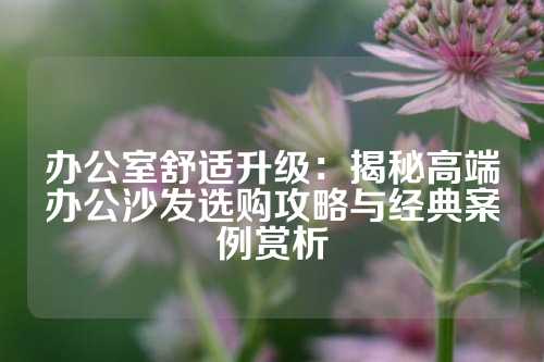 办公室舒适升级：揭秘高端办公沙发选购攻略与经典案例赏析