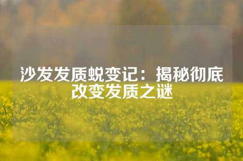 沙发发质蜕变记：揭秘彻底改变发质之谜