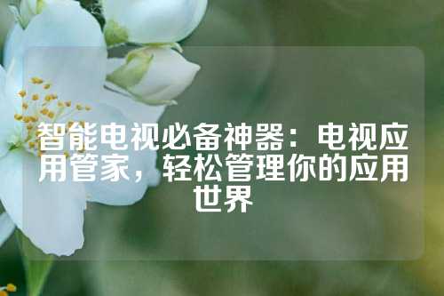 智能电视必备神器：电视应用管家，轻松管理你的应用世界