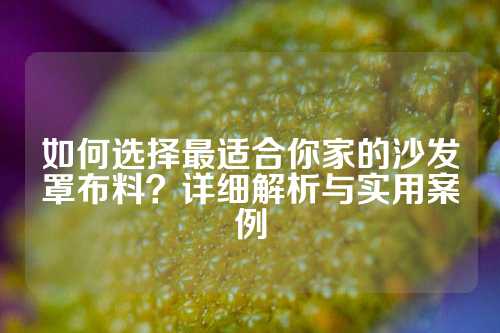 如何选择最适合你家的沙发罩布料？详细解析与实用案例