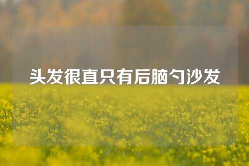 头发很直只有后脑勺沙发