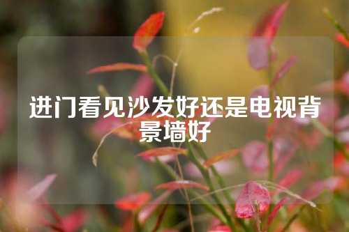 进门看见沙发好还是电视背景墙好