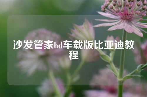 沙发管家hd车载版比亚迪教程
