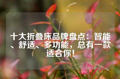 十大折叠床品牌盘点：智能、舒适、多功能，总有一款适合你！