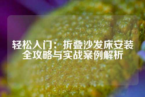 轻松入门：折叠沙发床安装全攻略与实战案例解析