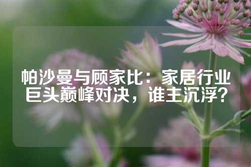 帕沙曼与顾家比：家居行业巨头巅峰对决，谁主沉浮？