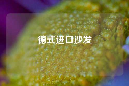 德式进口沙发