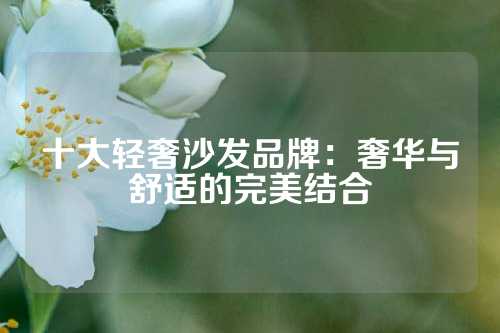 十大轻奢沙发品牌：奢华与舒适的完美结合