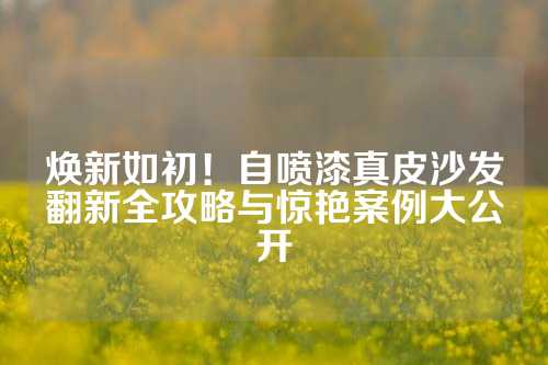 焕新如初！自喷漆真皮沙发翻新全攻略与惊艳案例大公开