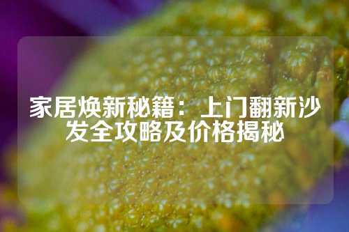 家居焕新秘籍：上门翻新沙发全攻略及价格揭秘