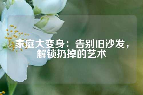 家庭大变身：告别旧沙发，解锁扔掉的艺术