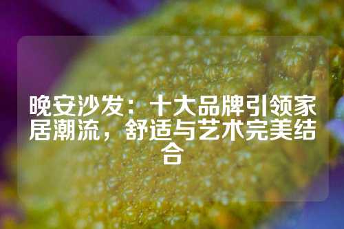 晚安沙发：十大品牌引领家居潮流，舒适与艺术完美结合