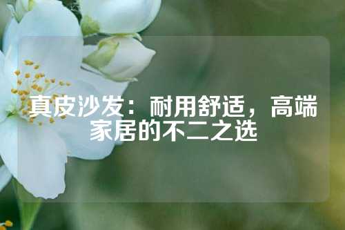 真皮沙发：耐用舒适，高端家居的不二之选