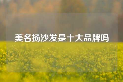 美名扬沙发是十大品牌吗