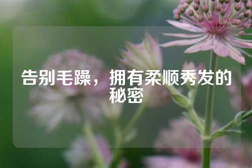 告别毛躁，拥有柔顺秀发的秘密