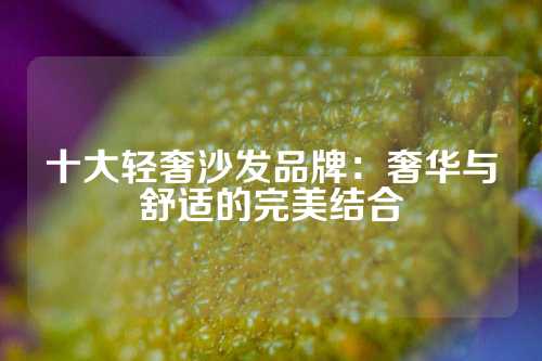 十大轻奢沙发品牌：奢华与舒适的完美结合