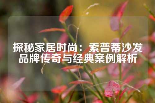 探秘家居时尚：索普蒂沙发品牌传奇与经典案例解析