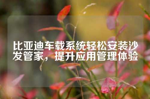 比亚迪车载系统轻松安装沙发管家，提升应用管理体验