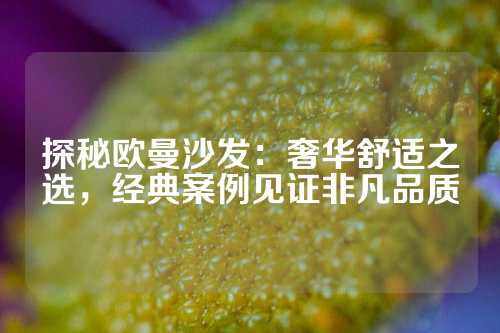 探秘欧曼沙发：奢华舒适之选，经典案例见证非凡品质