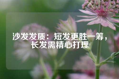 沙发发质：短发更胜一筹，长发需精心打理