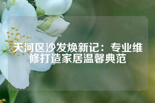 天河区沙发焕新记：专业维修打造家居温馨典范