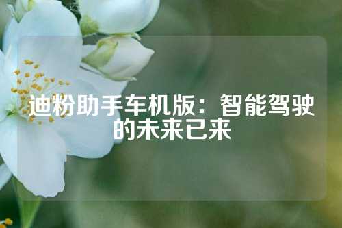 迪粉助手车机版：智能驾驶的未来已来