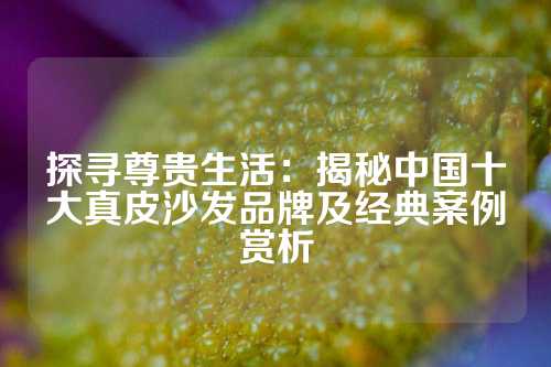 探寻尊贵生活：揭秘中国十大真皮沙发品牌及经典案例赏析