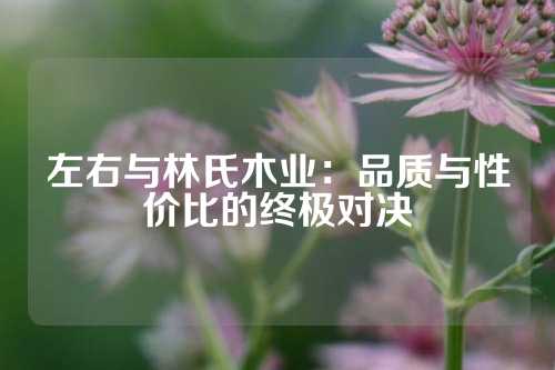 左右与林氏木业：品质与性价比的终极对决