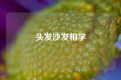 头发沙发相学