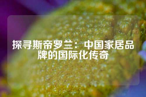探寻斯帝罗兰：中国家居品牌的国际化传奇