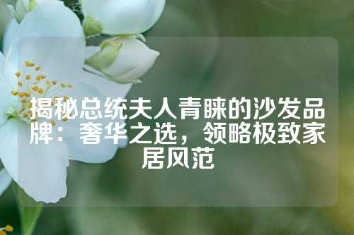 揭秘总统夫人青睐的沙发品牌:奢华之选,领略极致家居风范