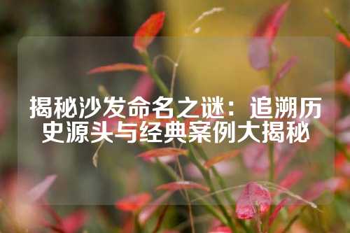 揭秘沙发命名之谜：追溯历史源头与经典案例大揭秘