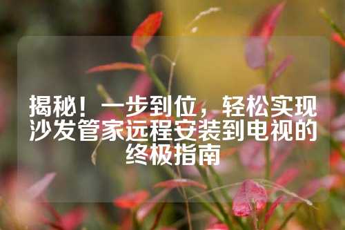 揭秘！一步到位，轻松实现沙发管家远程安装到电视的终极指南