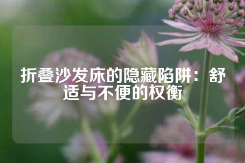 折叠沙发床的隐藏陷阱：舒适与不便的权衡