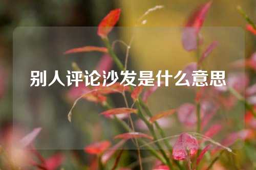 别人评论沙发是什么意思